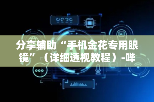 分享辅助“手机金花专用眼镜”（详细透视教程）-哔哩哔哩