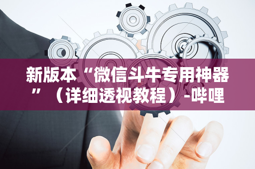 新版本“微信斗牛专用神器”（详细透视教程）-哔哩哔哩