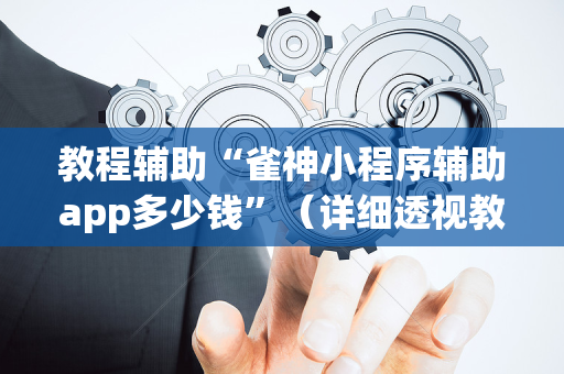 教程辅助“雀神小程序辅助app多少钱”（详细透视教程）-哔哩哔哩