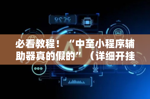 必看教程！“中至小程序辅助器真的假的”（详细开挂教程）-哔哩哔哩