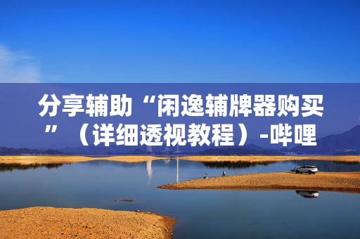 分享辅助“闲逸辅牌器购买”（详细透视教程）-哔哩哔哩