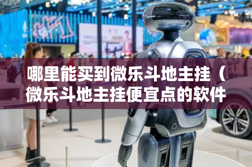 哪里能买到微乐斗地主挂（微乐斗地主挂便宜点的软件）