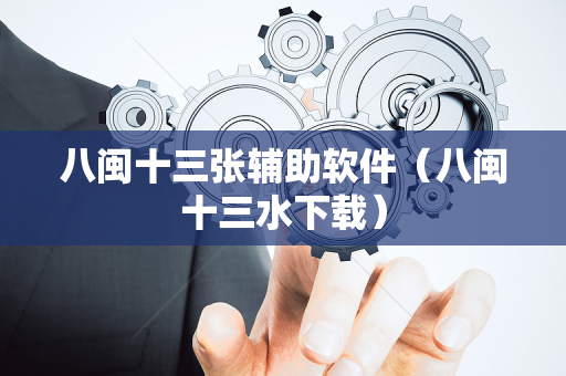 八闽十三张辅助软件（八闽十三水下载）