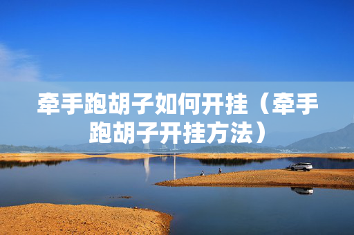 牵手跑胡子如何开挂（牵手跑胡子开挂方法）