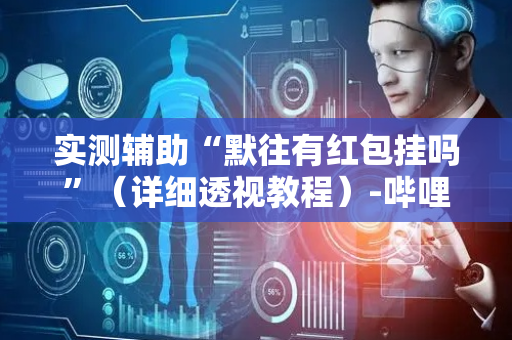 实测辅助“默往有红包挂吗”（详细透视教程）-哔哩哔哩