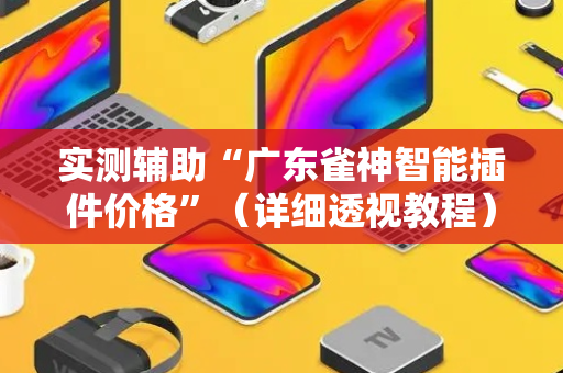 实测辅助“广东雀神智能插件价格”（详细透视教程）-哔哩哔哩