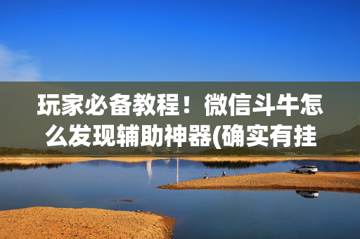 玩家必备教程！微信斗牛怎么发现辅助神器(确实有挂吗)