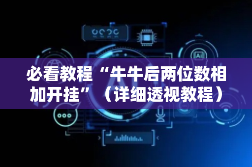 必看教程“牛牛后两位数相加开挂”（详细透视教程）-哔哩哔哩