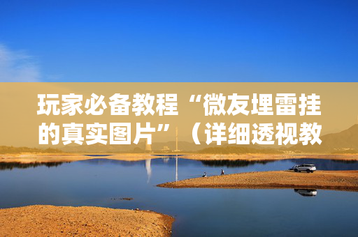 玩家必备教程“微友埋雷挂的真实图片”（详细透视教程）-哔哩哔哩