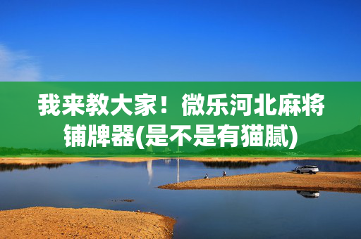 我来教大家！微乐河北麻将铺牌器(是不是有猫腻)