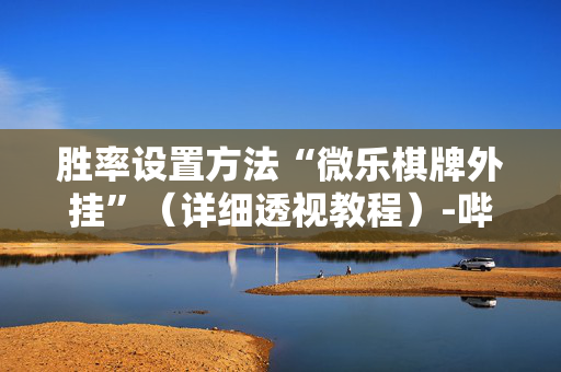 胜率设置方法“微乐棋牌外挂”（详细透视教程）-哔哩哔哩