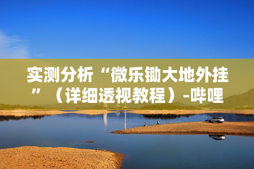 实测分析“微乐锄大地外挂”（详细透视教程）-哔哩哔哩