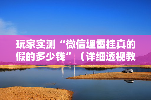 玩家实测“微信埋雷挂真的假的多少钱”（详细透视教程）-哔哩哔哩
