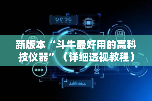 新版本“斗牛最好用的高科技仪器”（详细透视教程）-哔哩哔哩