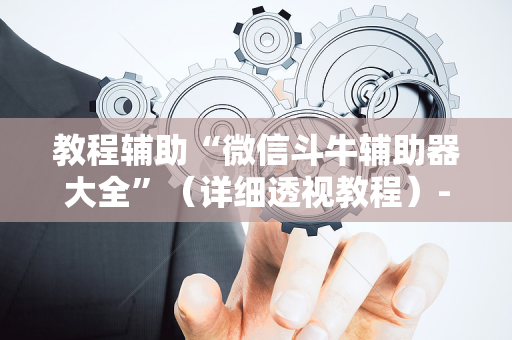 教程辅助“微信斗牛辅助器大全”（详细透视教程）-哔哩哔哩