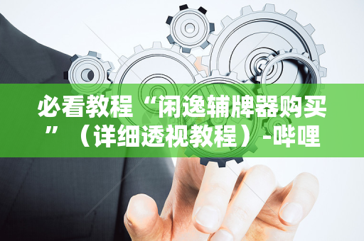 必看教程“闲逸辅牌器购买”（详细透视教程）-哔哩哔哩