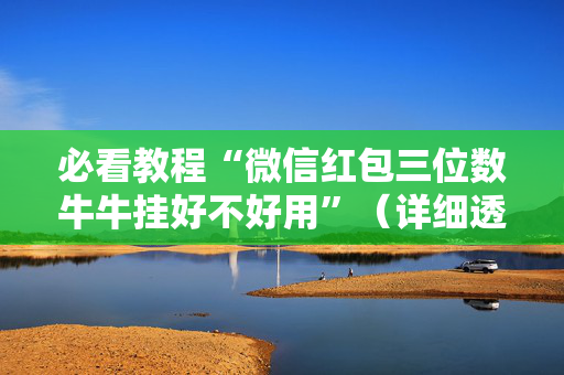 必看教程“微信红包三位数牛牛挂好不好用”（详细透视教程）-哔哩哔哩