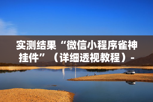 实测结果“微信小程序雀神挂件”（详细透视教程）-哔哩哔哩