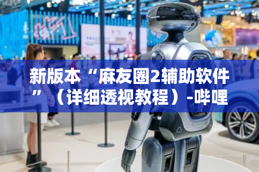 新版本“麻友圈2辅助软件”（详细透视教程）-哔哩哔哩