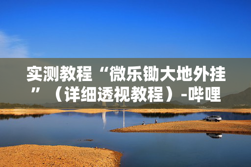 实测教程“微乐锄大地外挂”（详细透视教程）-哔哩哔哩