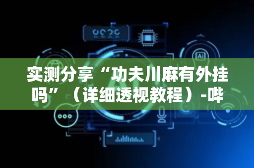 实测分享“功夫川麻有外挂吗”（详细透视教程）-哔哩哔哩