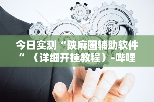 今日实测“陕麻圈辅助软件”（详细开挂教程）-哔哩哔哩