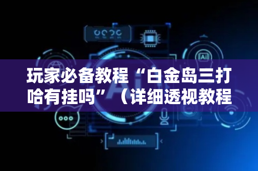 玩家必备教程“白金岛三打哈有挂吗”（详细透视教程）-哔哩哔哩