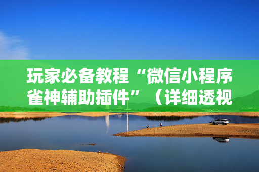 玩家必备教程“微信小程序雀神辅助插件”（详细透视教程）-哔哩哔哩