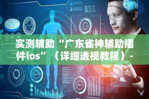 实测辅助“广东雀神辅助插件ios”（详细透视教程）-哔哩哔哩