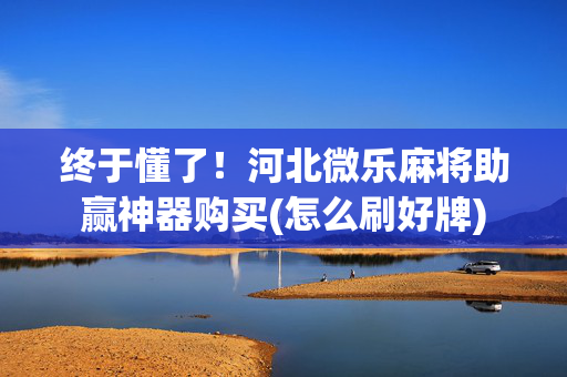 终于懂了！河北微乐麻将助赢神器购买(怎么刷好牌)