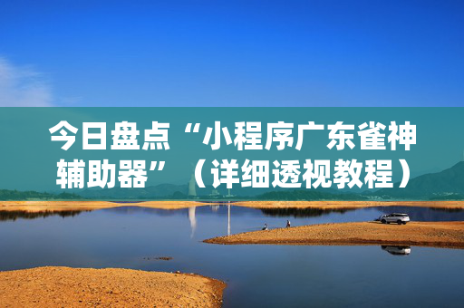 今日盘点“小程序广东雀神辅助器”（详细透视教程）-哔哩哔哩