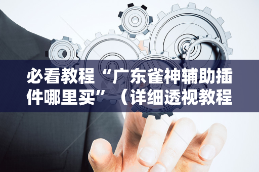 必看教程“广东雀神辅助插件哪里买”（详细透视教程）-哔哩哔哩