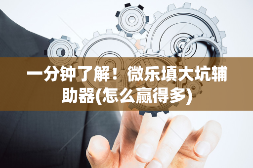 一分钟了解！微乐填大坑辅助器(怎么赢得多)