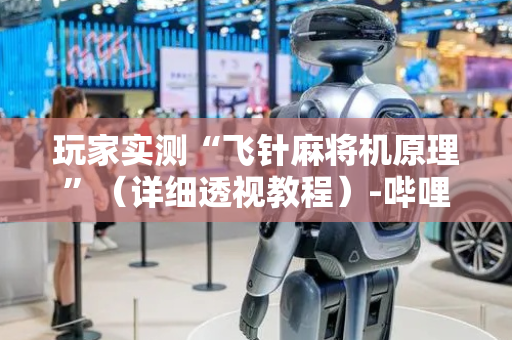 玩家实测“飞针麻将机原理”（详细透视教程）-哔哩哔哩