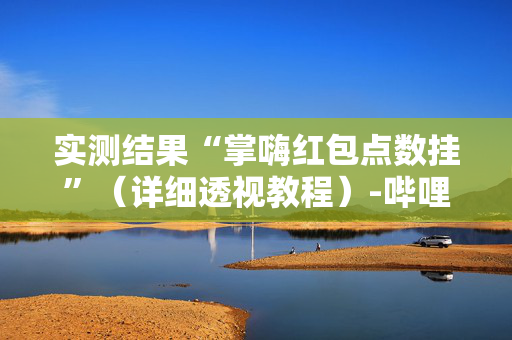 实测结果“掌嗨红包点数挂”（详细透视教程）-哔哩哔哩