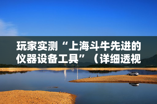 玩家实测“上海斗牛先进的仪器设备工具”（详细透视教程）-哔哩哔哩