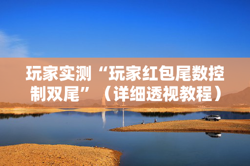 玩家实测“玩家红包尾数控制双尾”（详细透视教程）-哔哩哔哩
