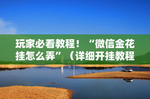 玩家必看教程！“微信金花挂怎么弄”（详细开挂教程）-哔哩哔哩