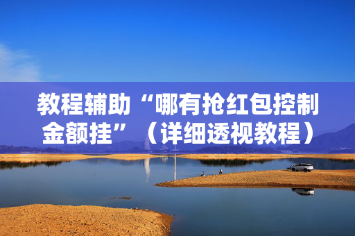 教程辅助“哪有抢红包控制金额挂”（详细透视教程）-哔哩哔哩