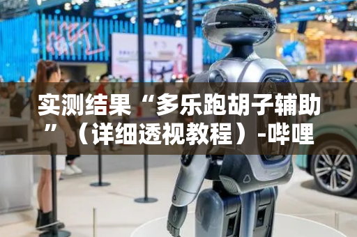 实测结果“多乐跑胡子辅助”（详细透视教程）-哔哩哔哩