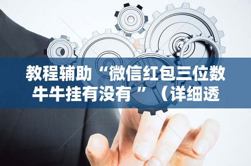 教程辅助“微信红包三位数牛牛挂有没有 ”（详细透视教程）-哔哩哔哩
