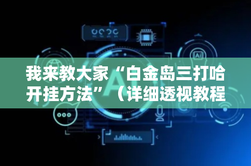 我来教大家“白金岛三打哈开挂方法”（详细透视教程）-哔哩哔哩