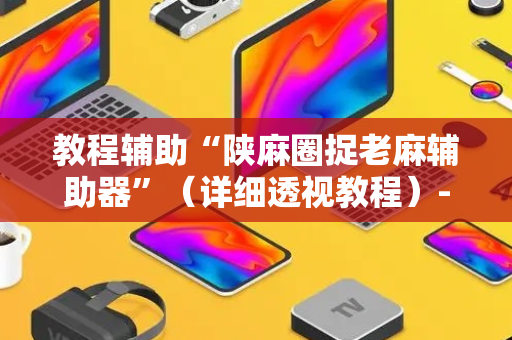 教程辅助“陕麻圈捉老麻辅助器”（详细透视教程）-哔哩哔哩