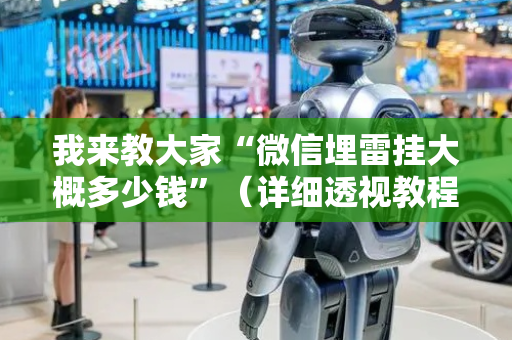 我来教大家“微信埋雷挂大概多少钱”（详细透视教程）-哔哩哔哩