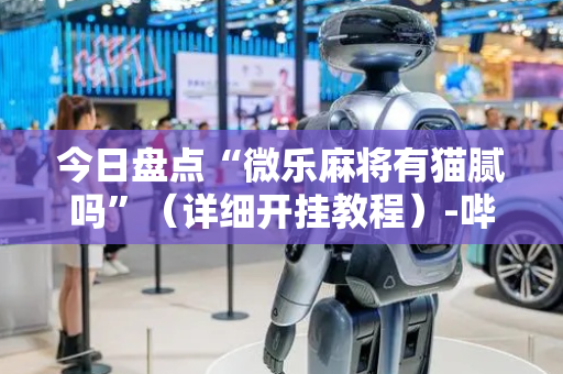 今日盘点“微乐麻将有猫腻吗”（详细开挂教程）-哔哩哔哩