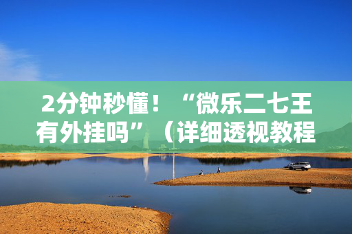 2分钟秒懂！“微乐二七王有外挂吗”（详细透视教程）-哔哩哔哩
