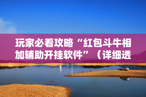 玩家必看攻略“红包斗牛相加辅助开挂软件”（详细透视教程）-哔哩哔哩