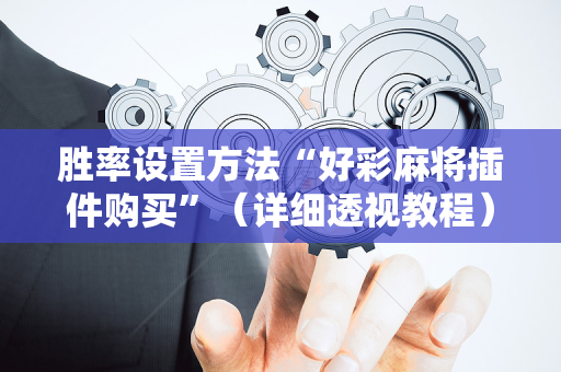 胜率设置方法“好彩麻将插件购买”（详细透视教程）-哔哩哔哩