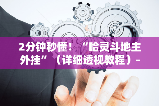 2分钟秒懂！“哈灵斗地主外挂”（详细透视教程）-哔哩哔哩