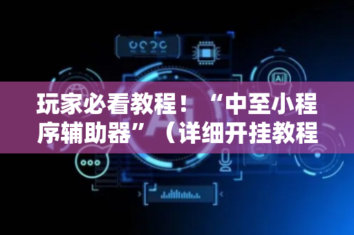 玩家必看教程！“中至小程序辅助器”（详细开挂教程）-哔哩哔哩